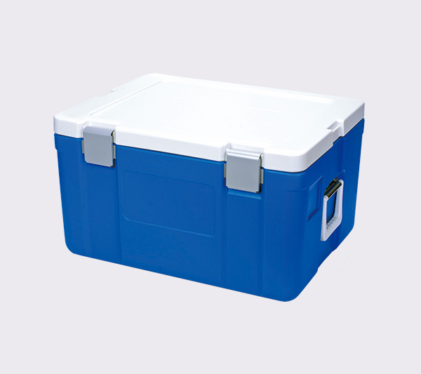 <span>65L</span>incubator